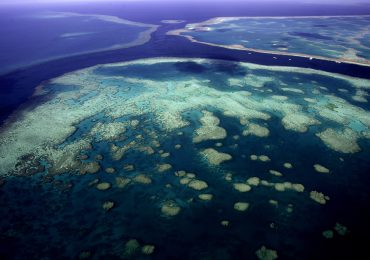 Coral reef taller than the Empire State Building discovered in Australia's Great Barrier Reef