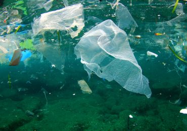 The scourge of plastic waste - and what the EU's doing about it