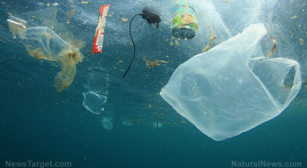 REPORT: 8–14 million tons of microplastics are polluting the ocean floor