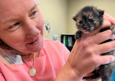 Meet the Ontario SPCA’s new Vice President of Shelter Operations