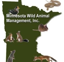 Wildlife Management in Minnesota