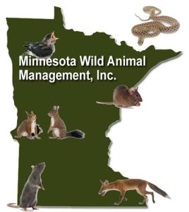 Wildlife Management in Minnesota