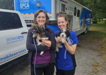 The Ontario SPCA seeks a new location in Sudbury for its mobile spay/neuter unit