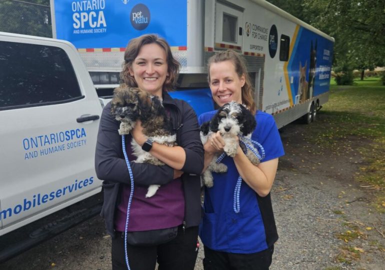 The Ontario SPCA seeks a new location in Sudbury for its mobile spay/neuter unit
