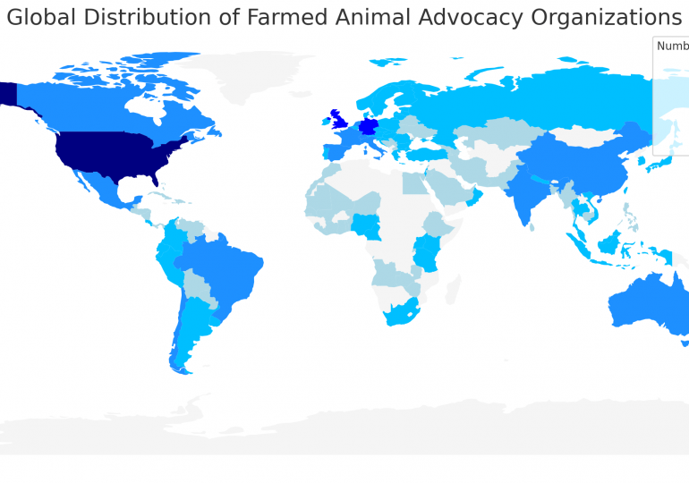 ACE’s List of Farmed Animal Advocacy Organizations