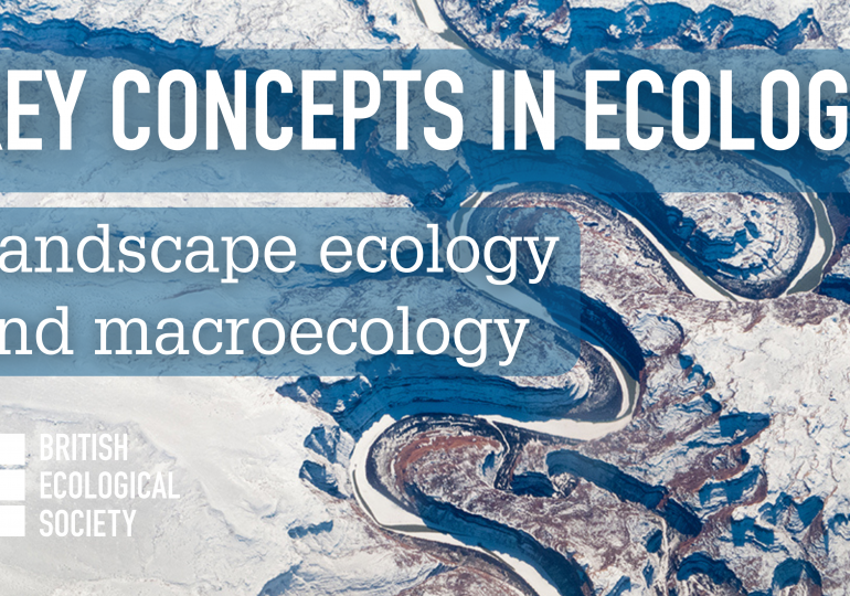 Key Concepts in Ecology: Landscape ecology and macroecology 