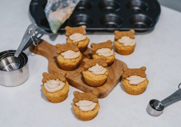 Bake a difference for animals in need with Cupcake Day for the Ontario SPCA