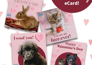 Celebrate your puppy love this Valentine’s Day with gifts that give back to animals in need