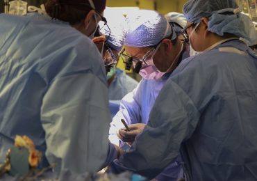 A Man Has Received the First Pig-Kidney Transplant