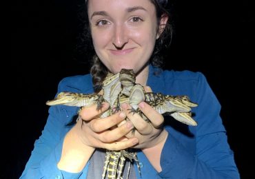 Samantha Bock: A long-standing evolutionary mystery: Why does temperature determine sex in long-lived reptiles?