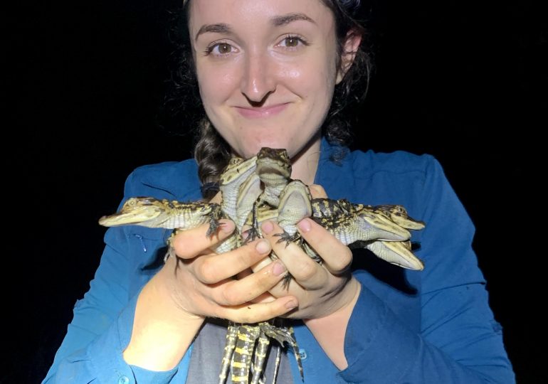 Samantha Bock: A long-standing evolutionary mystery: Why does temperature determine sex in long-lived reptiles?