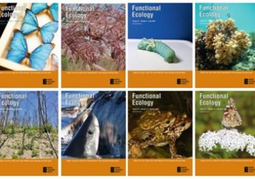 2023 Haldane Prize Shortlist: Functional Ecology’s Award for Early Career Researchers