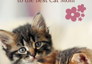5 ways to celebrate your animal-loving mom