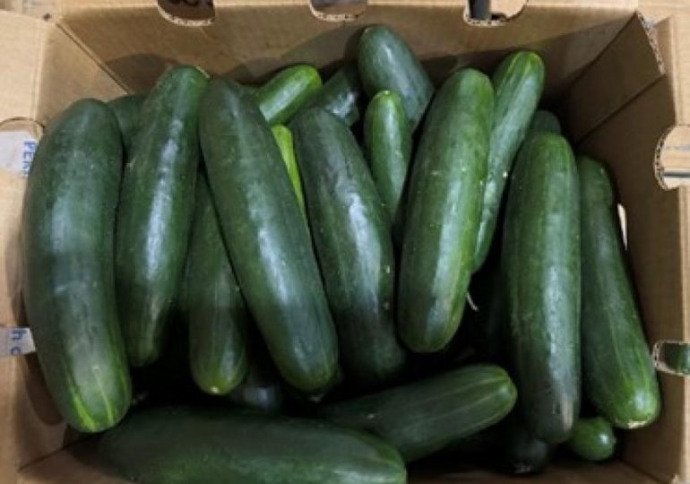 Here’s What to Know About the Cucumber Recall