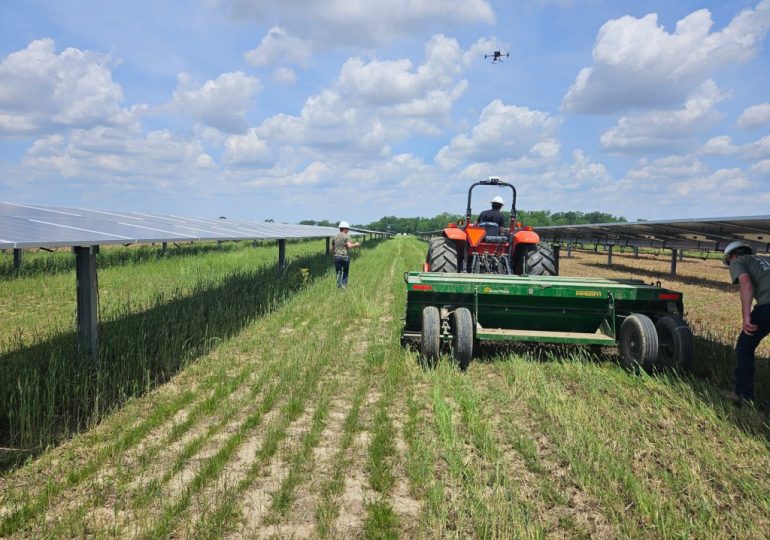 Large-scale Ohio research project to explore how solar and farming can co-exist