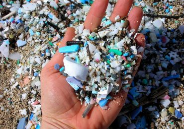 The Alarming Presence of Microplastics and Plastic in the Human Body