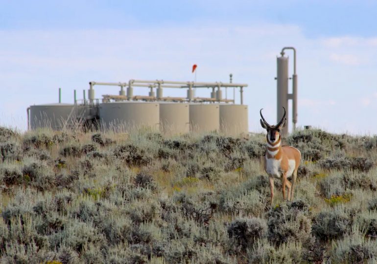 Wyoming bans conservation bidders from oil and gas lease sales