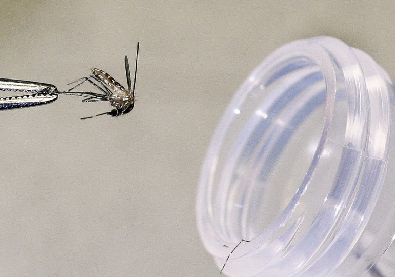 Rare Mosquito-Borne Disease Causes First Death in New Hampshire