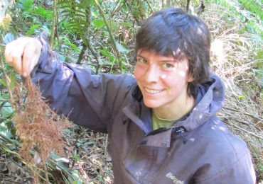 Kerstin Pierick: Above- and belowground strategies of tropical montane tree species are coordinated and driven by small-scale nitrogen availability 