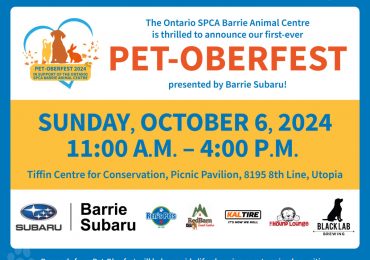 Barrie Pet-Oberfest promises to be a howlin’ good time to help animals in need