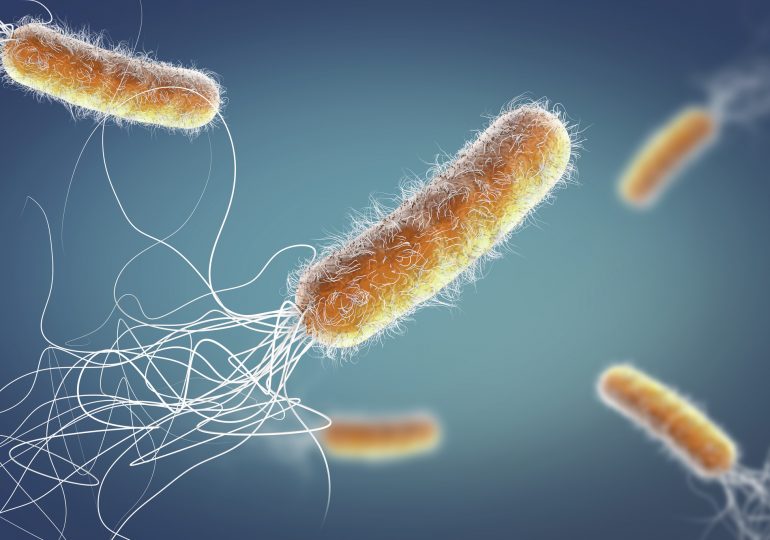 Superbugs Could Kill 39 Million People by 2050, Study Warns