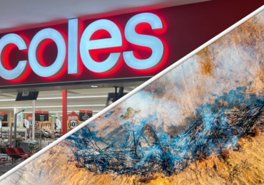 Coles Must Take Deforestation Off the Shelves