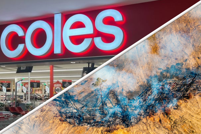 Coles Must Take Deforestation Off the Shelves