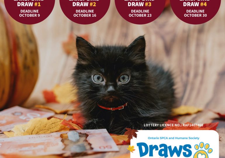 Rake in cash this fall with the Ontario SPCA’s Draws for Paws 50/50 Lottery