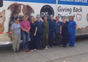 27 years of helping animals in need