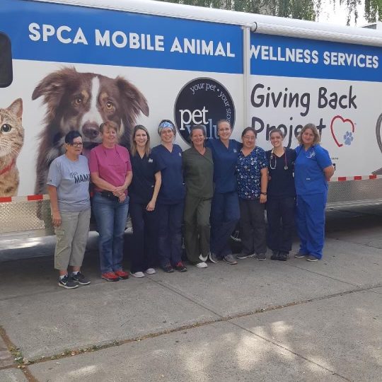 27 years of helping animals in need