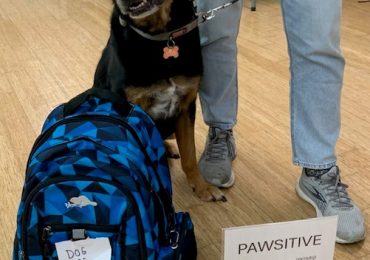 Pawsitive Packs: Keeping pets with the people who love them