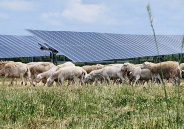 How a solar development turned from threat to opportunity for an Illinois farmer