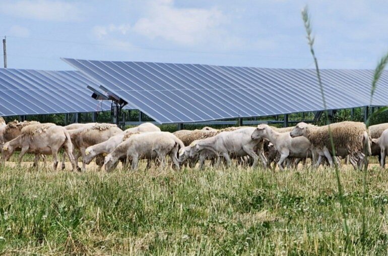 How a solar development turned from threat to opportunity for an Illinois farmer