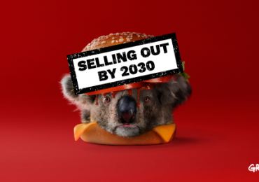 Campaign win! McDonald’s commits to taking deforestation off the menu