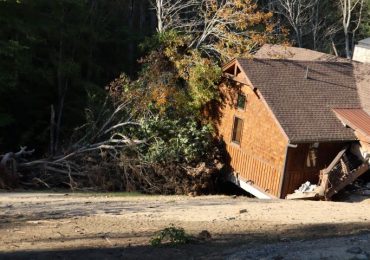 A Lifeline in the Storm: Our North Carolina Animal Rescue Efforts Following Hurricane Helene