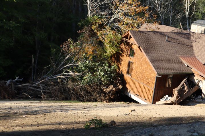 A Lifeline in the Storm: Our North Carolina Animal Rescue Efforts Following Hurricane Helene