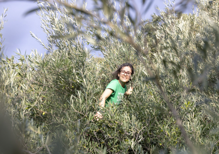 Seraina Cappelli: Is identity or diversity key to managing disease in crops?