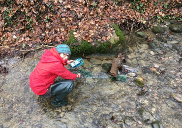 Rebecca Oester : Disentangling how riparian forests shape trophic interactions in detritus-based stream food webs