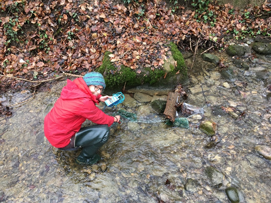 Rebecca Oester : Disentangling how riparian forests shape trophic interactions in detritus-based stream food webs