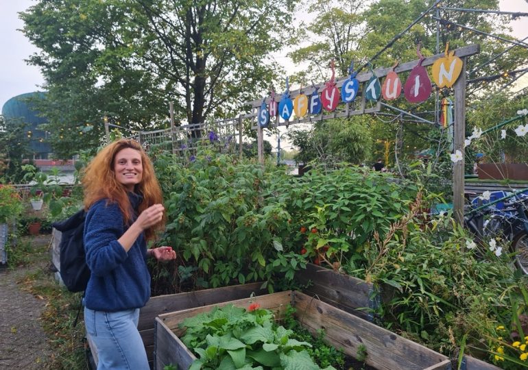 Laura Riggi: Strip cropping improves plant defenses against herbivorous insects via the soil  