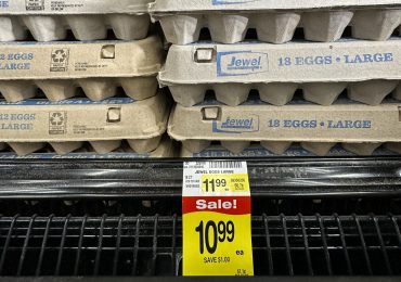 Are Egg Producers Inflating Prices During the Bird Flu Outbreak?