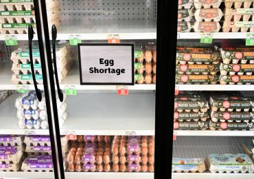 Why Eggs Are So Expensive Right Now