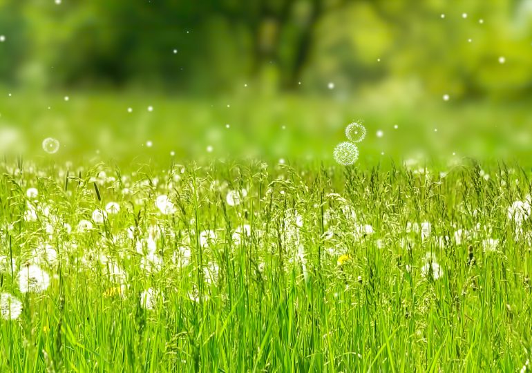 Are Allergy Shots Worth It?