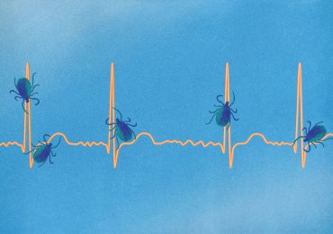 7 Surprising Symptoms of Lyme Disease