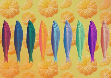 The 9 Most Underrated Healthy Foods