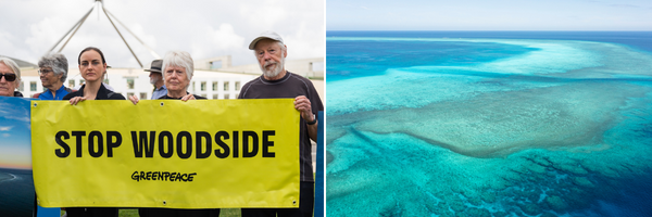 Ocean Protectors Lobby Day