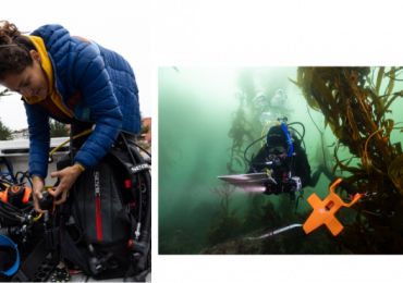 Carolina Olguín Jacobson, cuando el océano se calienta: lo que 15 años de monitoreo liderado por la comunidad revelaron sobre las áreas marinas protegidas en los bosques de kelp (Español)
