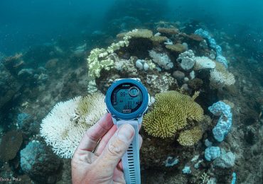 Soaring ocean temperatures: Australia’s iconic marine wonders are under attack