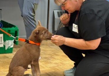 The Ontario SPCA delivers vital pet care to underserved families in Midland