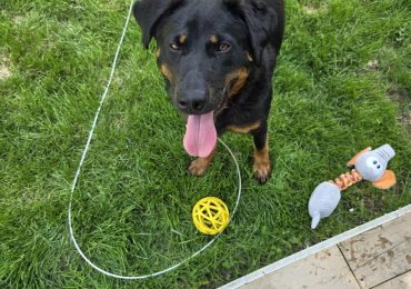 Teamwork and compassion gives Miss Clyde a second chance